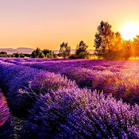 Canal Greco カストロヴィッラリ