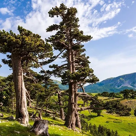 Canal Greco Castrovillari