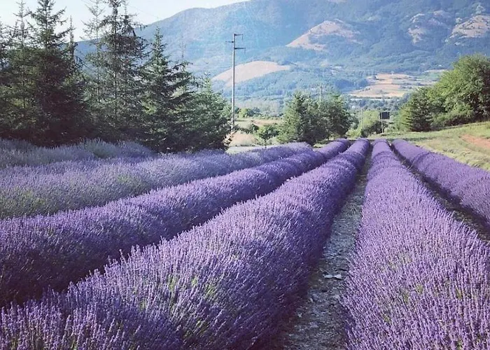 Nyaraló Canal Greco