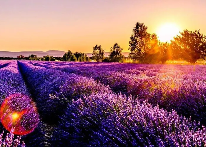 Canal Greco Castrovillari