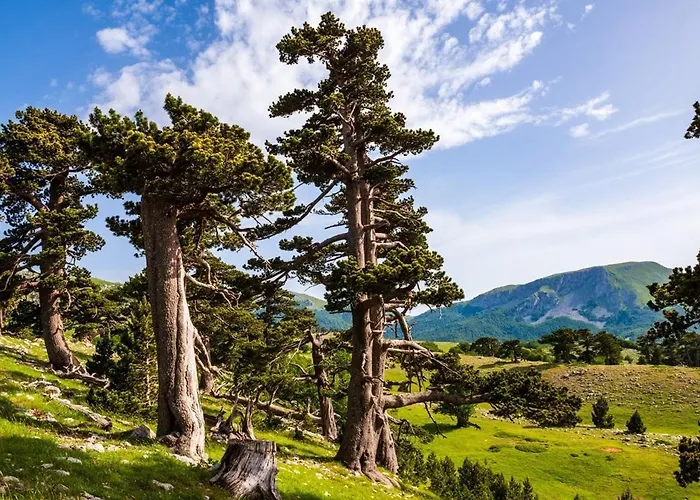 Canal Greco Castrovillari